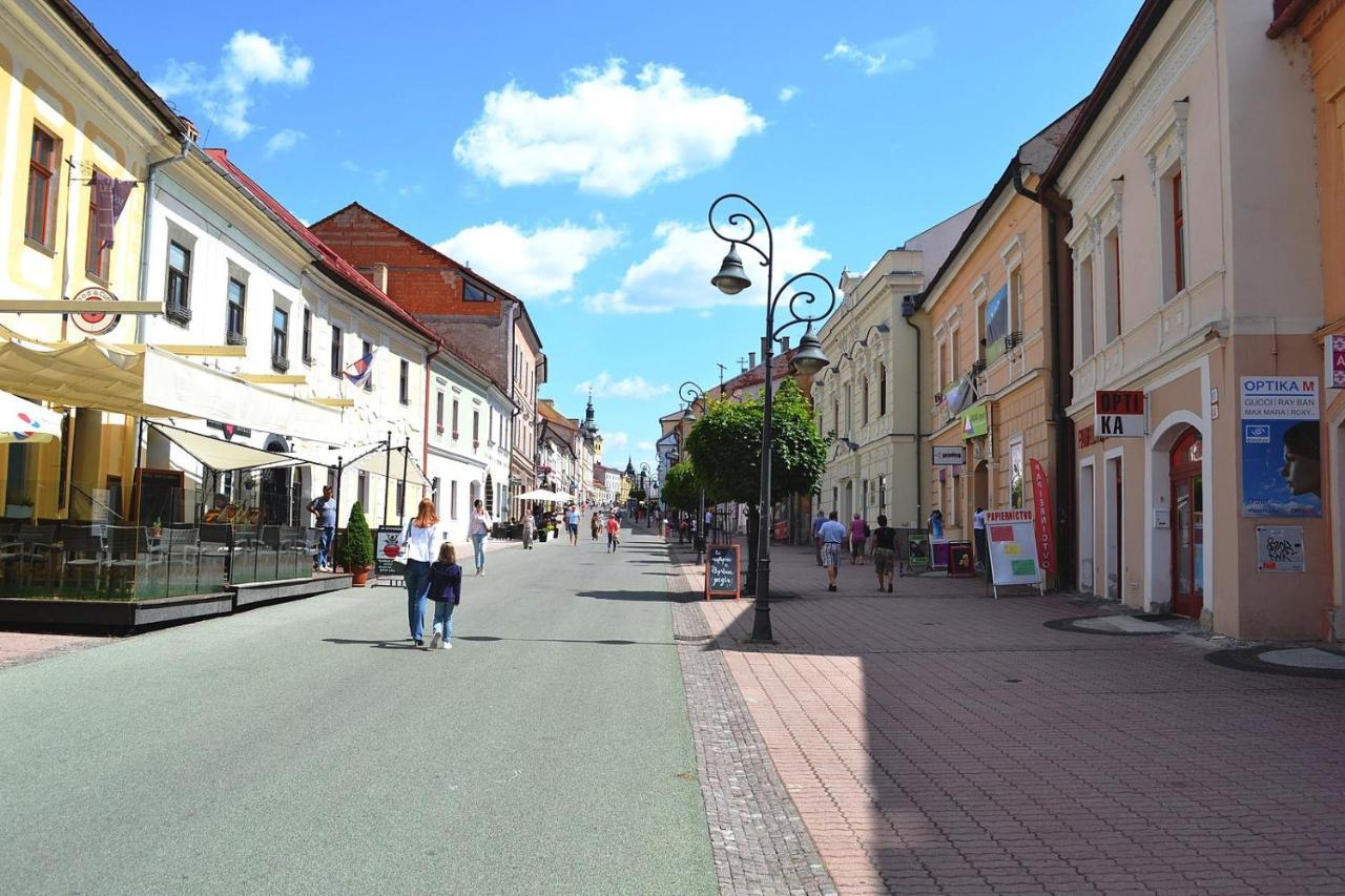 Old Town Apt. A/C And Parking Банска бистрица Екстериор снимка